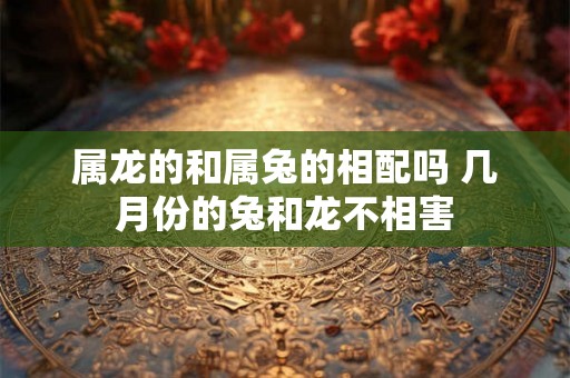 属龙的和属兔的相配吗 几月份的兔和龙不相害 属龙的和属兔的相配吗 几月份的兔和龙不相害