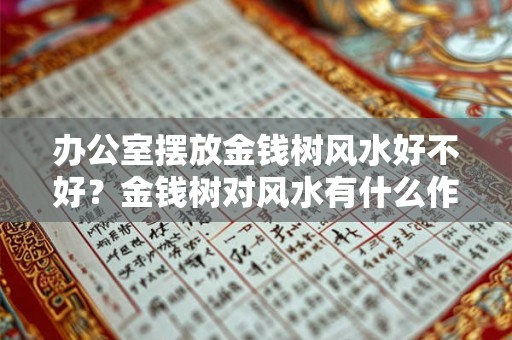 办公室摆放金钱树风水好不好？金钱树对风水有什么作用？