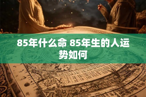 85年什么命 85年生的人运势如何