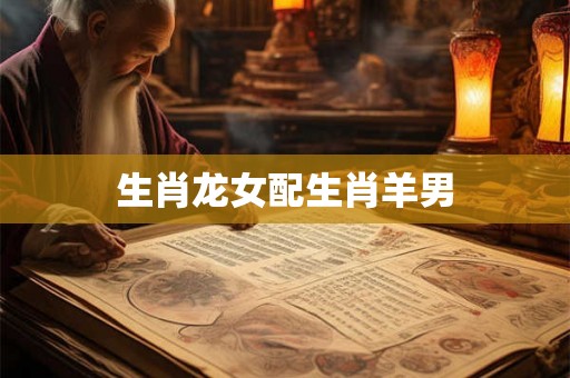 生肖龙女配生肖羊男