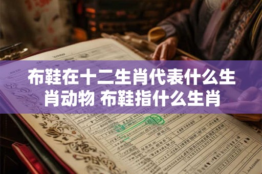 布鞋在十二生肖代表什么生肖动物 布鞋指什么生肖
