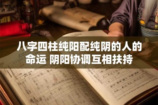 八字四柱纯阳配纯阴的人的命运 阴阳协调互相扶持