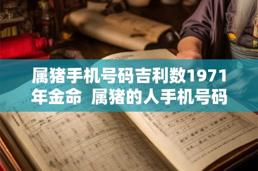 属猪手机号码吉利数1971年金命 属猪的人手机号码用什么数字好 属猪手机号码吉利数1971年金命 属猪的人手机号码用什么数字好