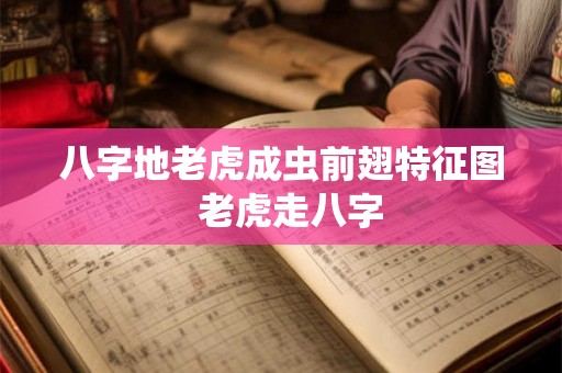 八字地老虎成虫前翅特征图 老虎走八字 八字地老虎成虫前翅特征图 老虎走八字