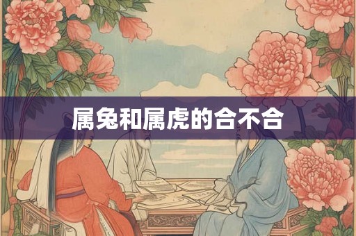 属兔和属虎的合不合