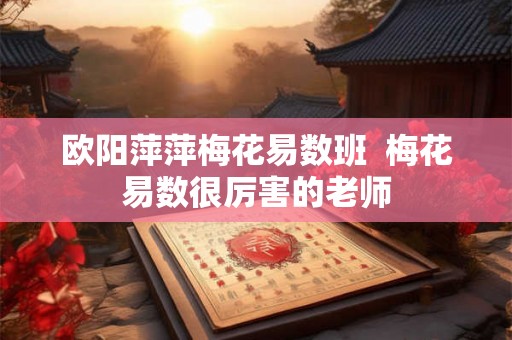 欧阳萍萍梅花易数班  梅花易数很厉害的老师