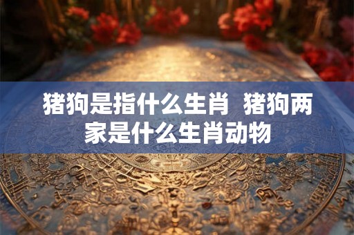 猪狗是指什么生肖  猪狗两家是什么生肖动物