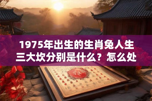 1975年出生的生肖兔人生三大坎分别是什么？怎么处理化解？