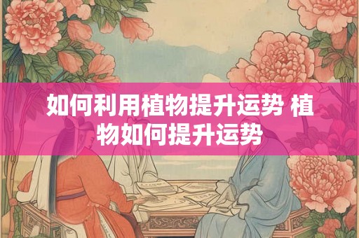如何利用植物提升运势 植物如何提升运势
