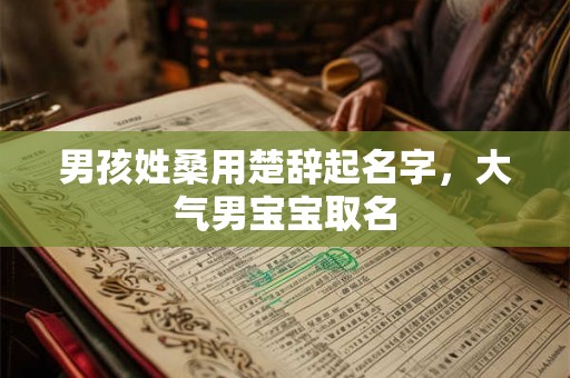 男孩姓桑用楚辞起名字，大气男宝宝取名