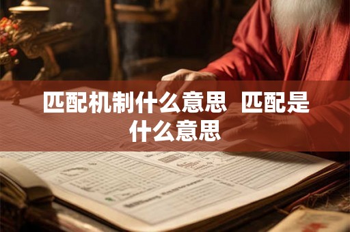 匹配机制什么意思  匹配是什么意思