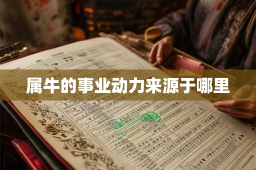 属牛的事业动力来源于哪里
