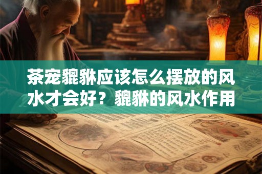 茶宠貔貅应该怎么摆放的风水才会好？貔貅的风水作用是什么？