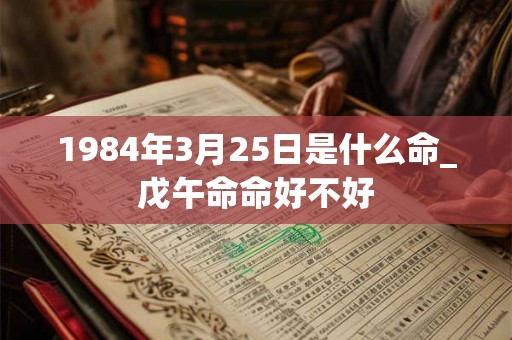 1984年3月25日是什么命_戊午命命好不好