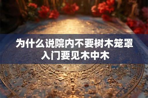 为什么说院内不要树木笼罩 入门要见木中木