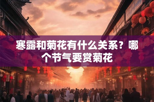 寒露和菊花有什么关系？哪个节气要赏菊花