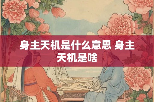 身主天机是什么意思 身主天机是啥 身主天机是什么意思 身主天机是啥