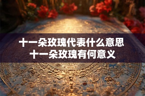 十一朵玫瑰代表什么意思 十一朵玫瑰有何意义 十一朵玫瑰代表什么意思 十一朵玫瑰有何意义