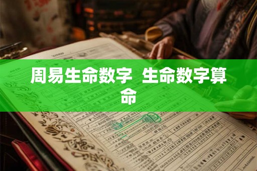 周易生命数字 生命数字算命 周易生命数字 生命数字算命