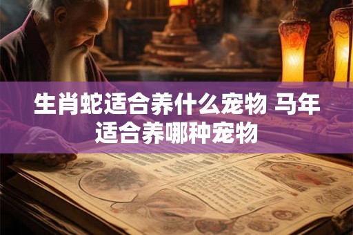 生肖蛇适合养什么宠物 马年适合养哪种宠物