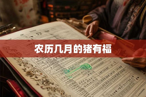 农历几月的猪有福