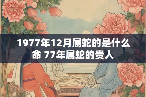 1977年12月属蛇的是什么命 77年属蛇的贵人 1977年12月属蛇的是什么命 77年属蛇的贵人
