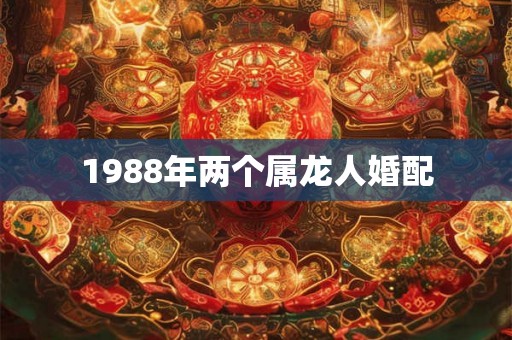 1988年两个属龙人婚配