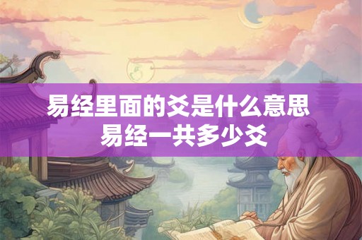 易经里面的爻是什么意思  易经一共多少爻