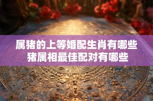 属猪的上等婚配生肖有哪些 猪属相最佳配对有哪些 属猪的上等婚配生肖有哪些 猪属相最佳配对有哪些