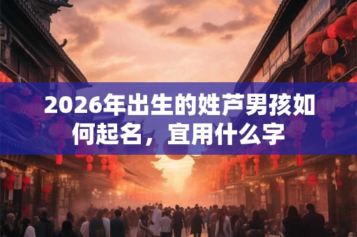 2026年出生的姓芦男孩如何起名，宜用什么字
