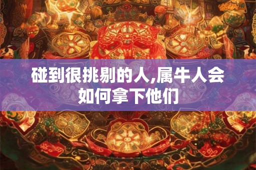 碰到很挑剔的人,属牛人会如何拿下他们