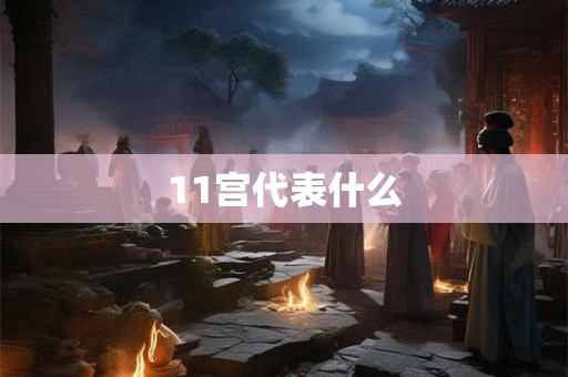 11宫代表什么