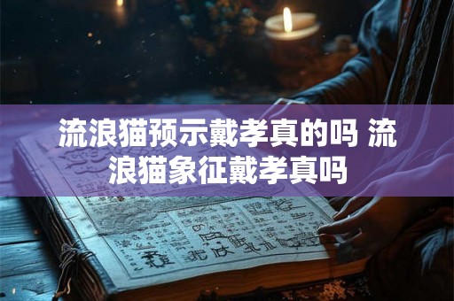 流浪猫预示戴孝真的吗 流浪猫象征戴孝真吗