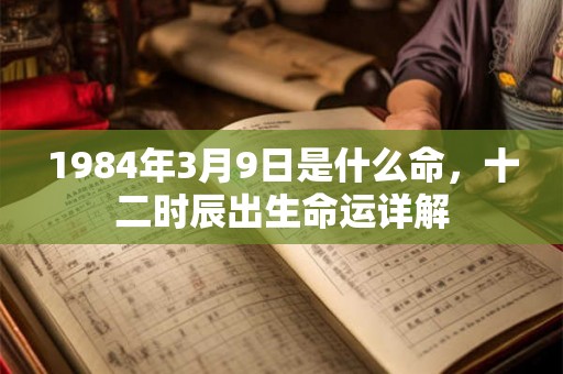 1984年3月9日是什么命,十二时辰出生命运详解 1984年3月9日是什么命,十二时辰出生命运详解