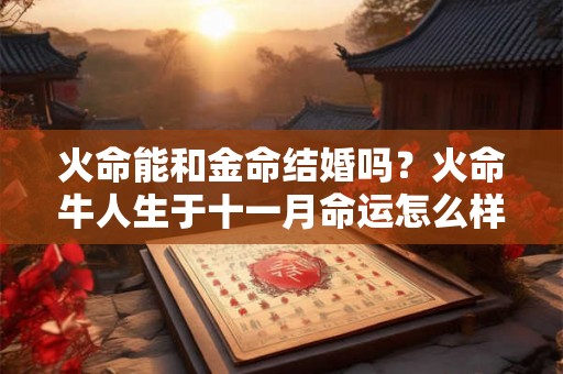 火命能和金命结婚吗？火命牛人生于十一月命运怎么样？