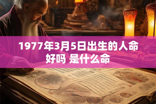 1977年3月5日出生的人命好吗 是什么命
