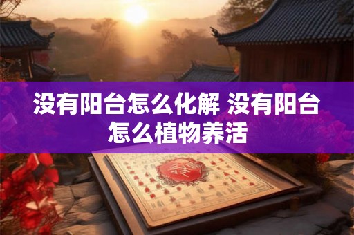 没有阳台怎么化解 没有阳台怎么植物养活