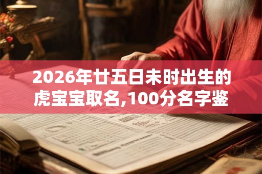 2026年廿五日未时出生的虎宝宝取名,100分名字鉴赏 2026年廿五日未时出生的虎宝宝取名,100分名字鉴赏