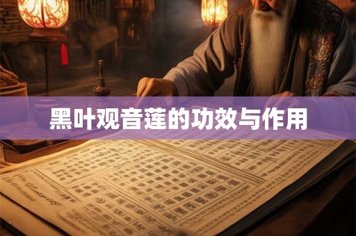 黑叶观音莲的功效与作用