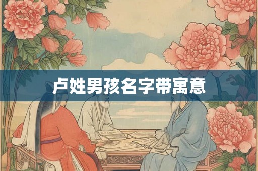 卢姓男孩名字带寓意