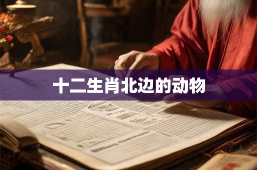 十二生肖北边的动物