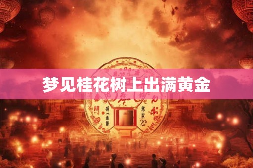 梦见桂花树上出满黄金