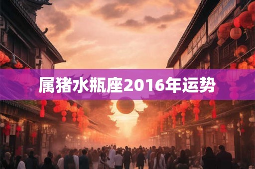 属猪水瓶座2016年运势