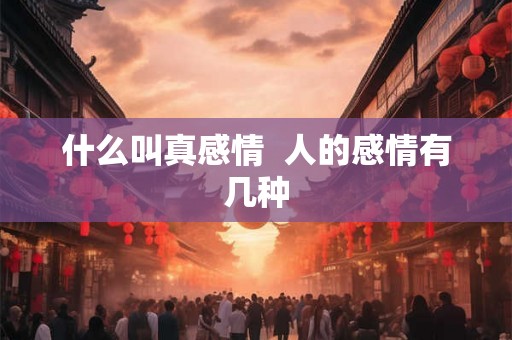 什么叫真感情  人的感情有几种