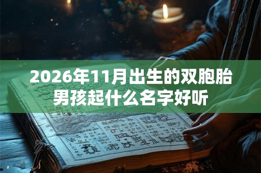 2026年11月出生的双胞胎男孩起什么名字好听 2026年11月出生的双胞胎男孩起什么名字好听