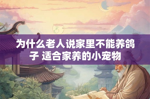 为什么老人说家里不能养鸽子 适合家养的小宠物
