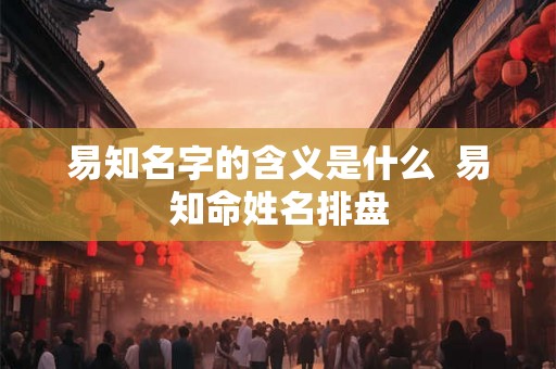易知名字的含义是什么  易知命姓名排盘