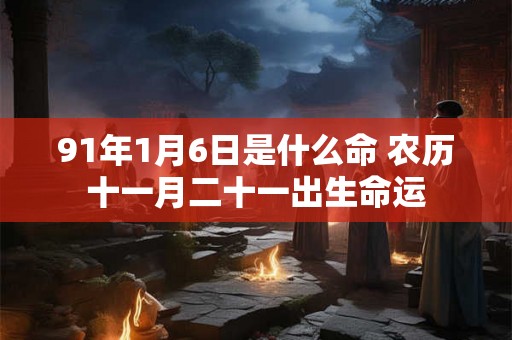 91年1月6日是什么命 农历十一月二十一出生命运