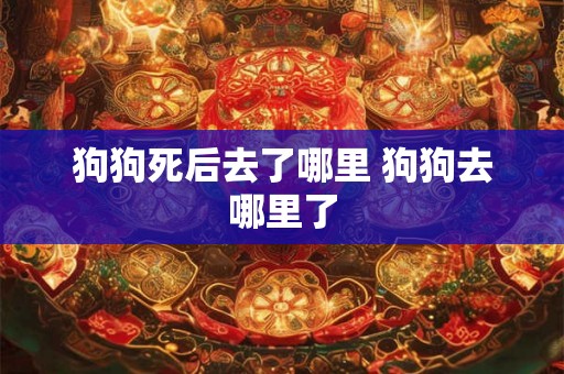狗狗死后去了哪里 狗狗去哪里了