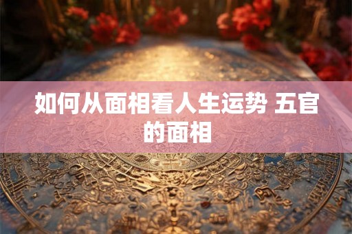 如何从面相看人生运势 五官的面相